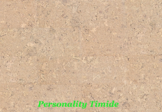 Cork Essence - Placa 905x295x10,5mm (Caja 2,136m2)