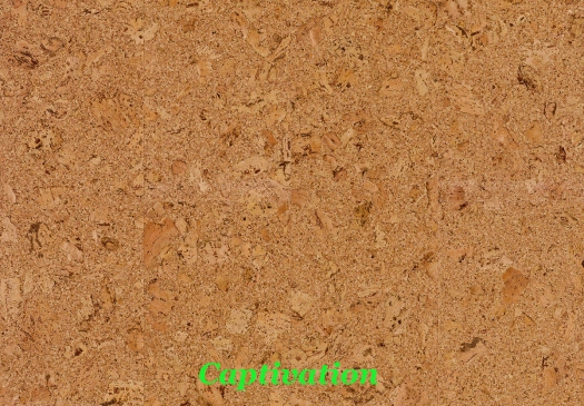 Cork Go - Placa 905x295x10,5mm (Caja 2,136m2)