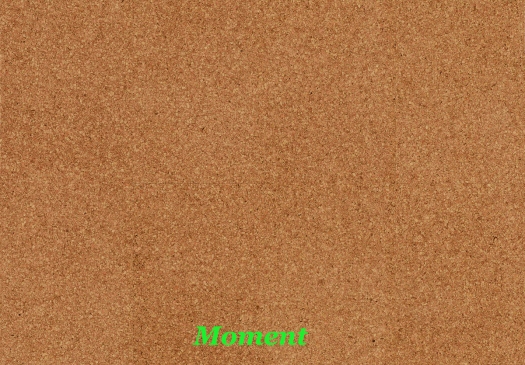 Cork Go - Placa 905x295x10,5mm (Caja 2,136m2)