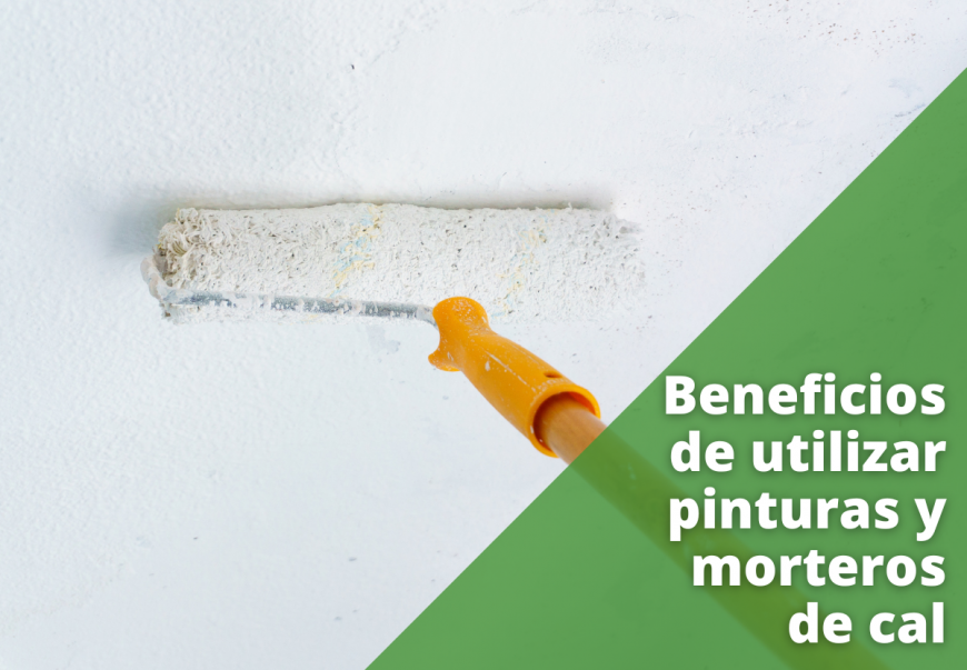 Pinturas y morteros de cal en Abriganature